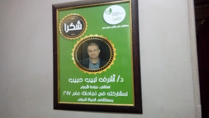 Ashraf Labib Surgical Oncology