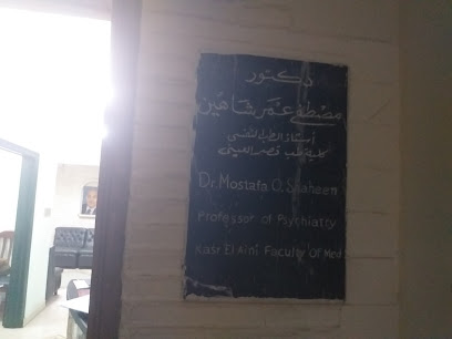 Mostafa Omar Shahin