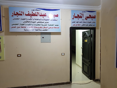 صبحى عبداللطيف النجار