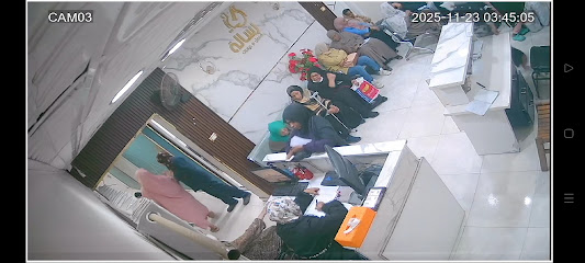 حنان حمدي انيس