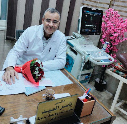 ياسر السيد
