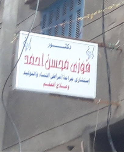 فوزى محسن احمد