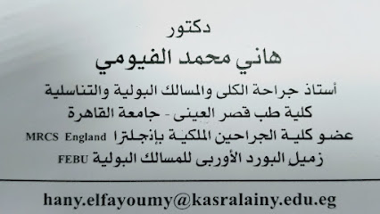 هانى الفيومى بالمهندسين