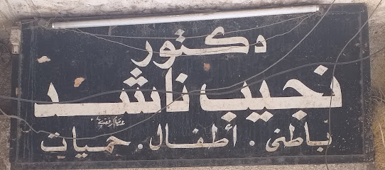 Naguib Nashd