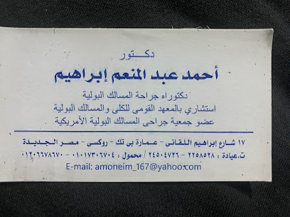 Ahmed Abdelmoneim Ibrahim