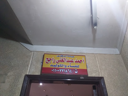 Ahmed Abdelghany Ragh