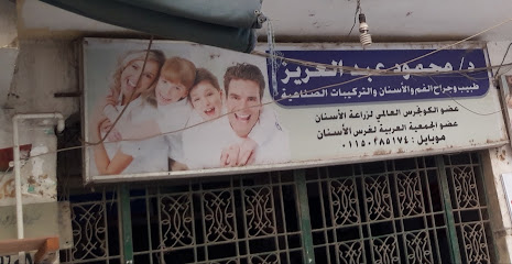 محمود عبد العزيز