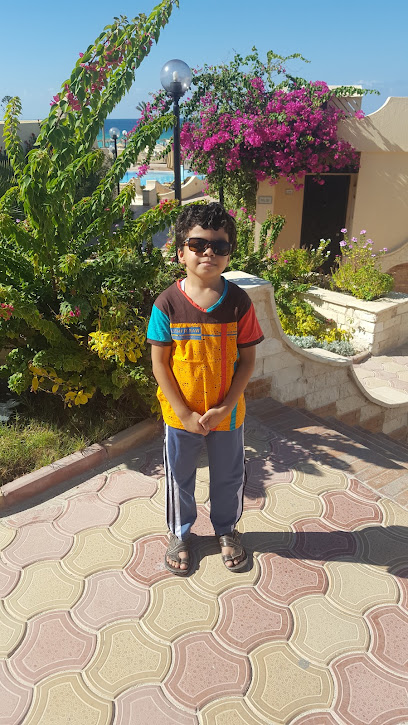 Mohamed El-Ghbashy