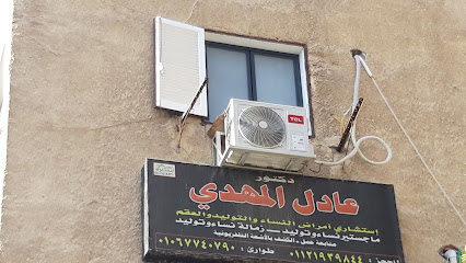 عادل المهدي