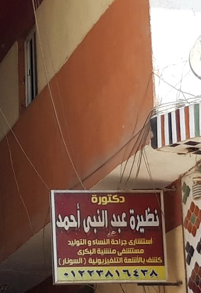 نظيرة عبد النبى أحمد