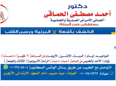 Ahmed Mostafa El-Hmaky