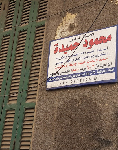محمود حميدة