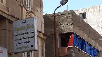 عادل محمود