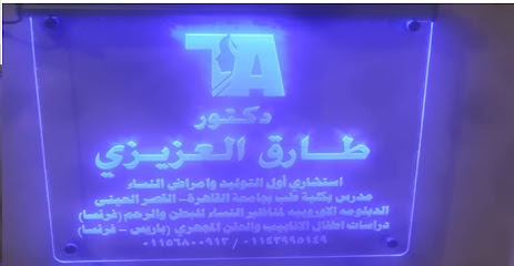 طارق العزيزي