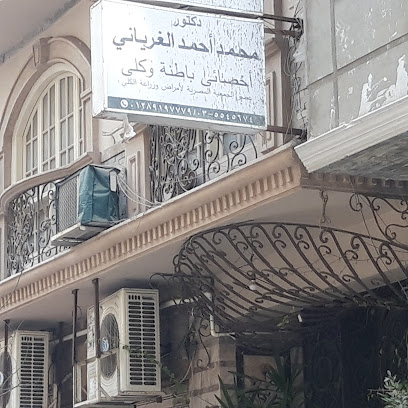 Mohamed Ahmed El-Ghryany