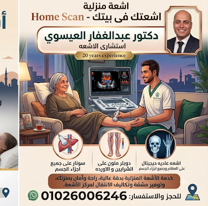 عبدالغفار العيسوى