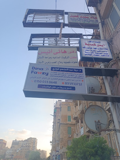 دينا فوزي