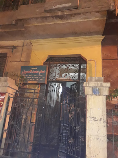 حسام الحسيني