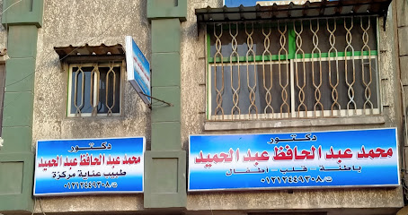 Mohamed Abdelhafz Abdelhamid