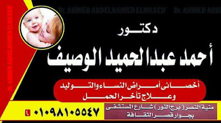 أحمد الوصيف