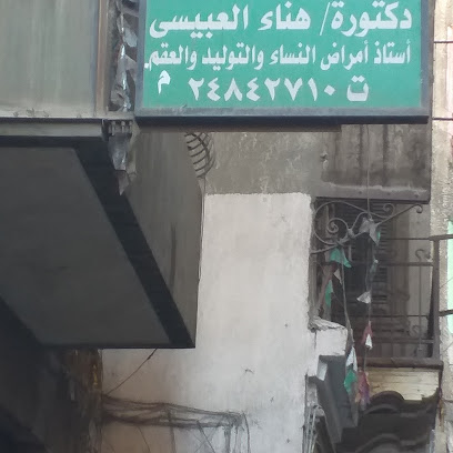 Hanaa Abdelhamid El-Abbysy