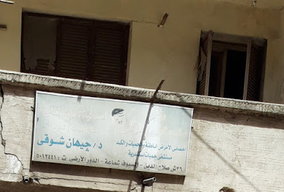 جيهان شوقى
