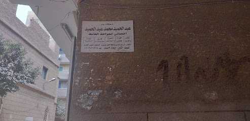 Abdelhamid Mohamed Abdelhamid