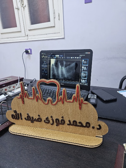 محمد فوزي ضيف الله