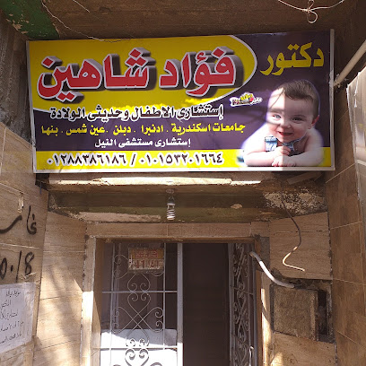Fouad Shahin