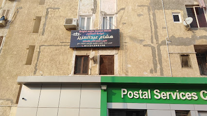 هشام عبد العزيز