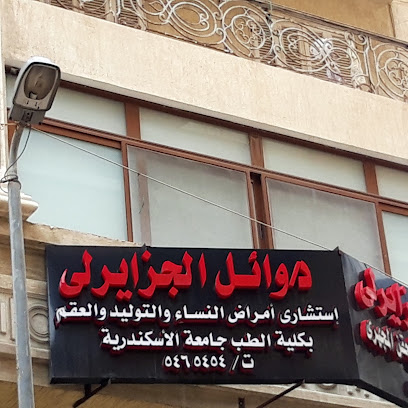 Wael El-Gzayrly