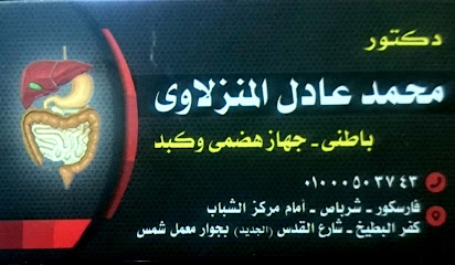 محمد عادل المنزلاوي