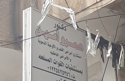 عمرو أمين