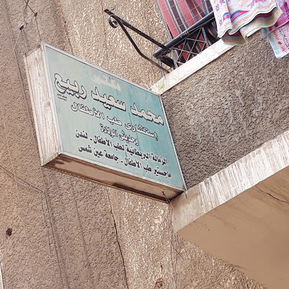 Mohamed Said Rbya