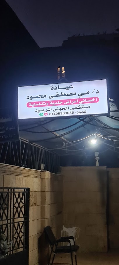 مي مصطفى