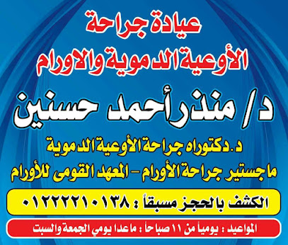 Mnzr Ahmed Hsnyn