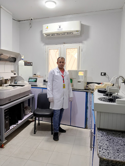 محمد العزالى