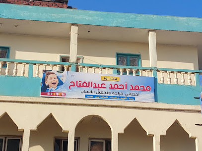 Mohamed Ahmed Abdelfattah