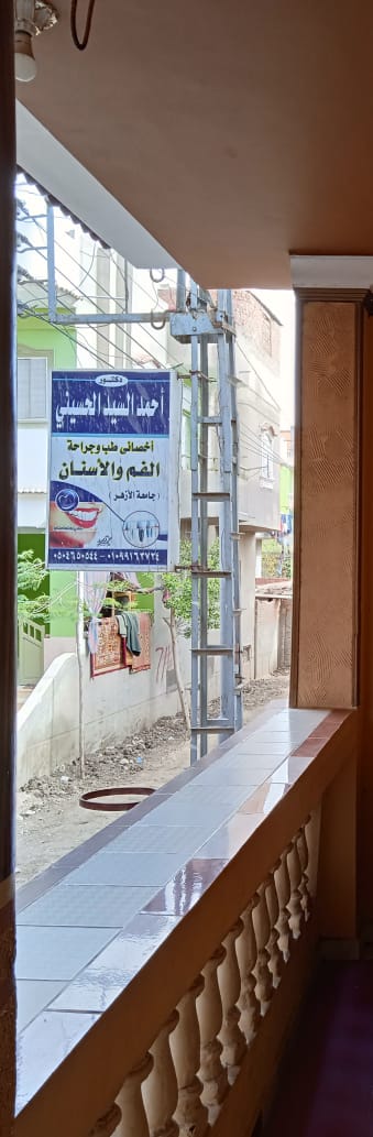 Ahmed El-Sayed El-Hsyny