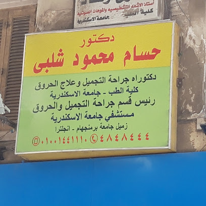 حسام محمود شلبى