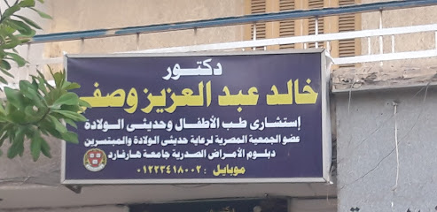 Khaled Abdelaziz Wsfy