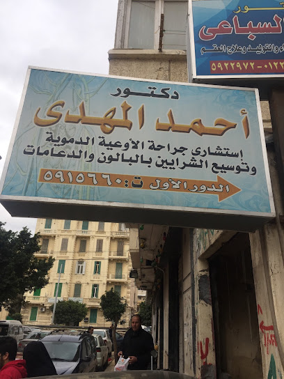 احمد المهدي