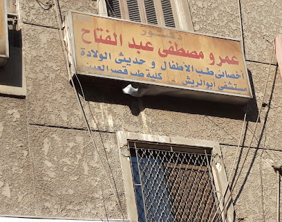 Amr Mostafa Abdelfattah