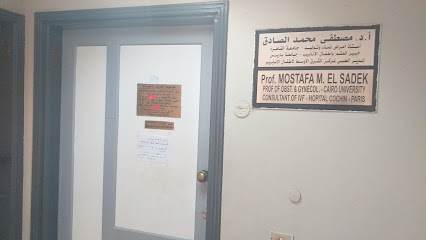 Mostafa Mohamed El-Sadek