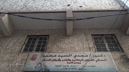 مجدي السيد محمد