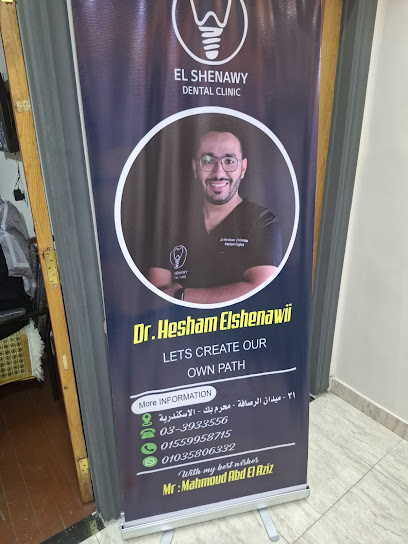 Hesham Elshenawi