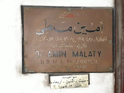 أمين ملطى