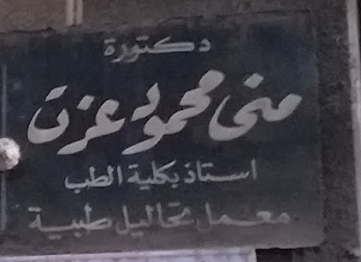 Mona Mahmoud Ezzat