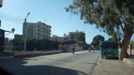 محمود فهمى منصور