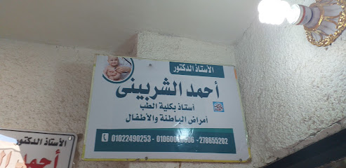 Ahmed El-Shrbyny